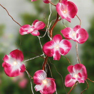 Hellum LED-Lichterkette Orchideen 10 BS innen