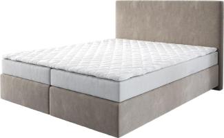 Boxspringbett Dream-Well Mikrofaser Beige 160x200 cm mit Matratze und Topper