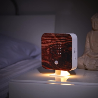 Northpoint LED Dekolicht Naturgeräuschebox Vogelzwitscher Bewegungsmelder Licht Aufladbar