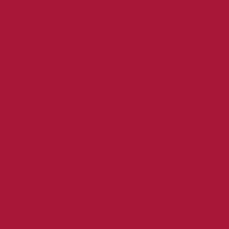 Formesse Jersey Spannbetttuch Bella Gracia|200x220 - 200x240 cm| carminrot
