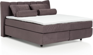 Mivano Free Boxspringbett/Bett mit 7-Zonen-Taschenfederkern-Matratze und Premium Topper/Härtegrad H3, Velours Cosy Braun, Liegefläche 180x200 cm