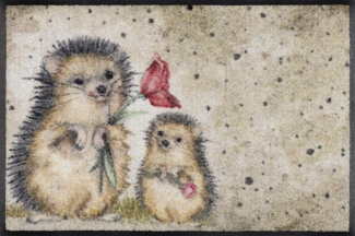 wash+dry by Kleen-Tex Fußmatte Spike, rechteckig, Höhe: 7 mm, Schmutzfangmatte, Motiv Igel, rutschhemmend, waschbar