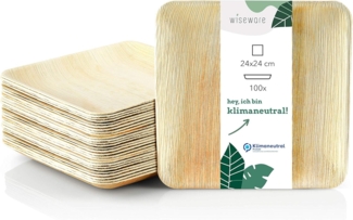 wisefood Einwegteller Palmblatt Teller quadratisch 24 x 24 cm, (100 St)