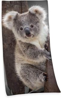 Velourstuch Duschtuch Badetuch Strandtuch mit Koala 75 x 150cm