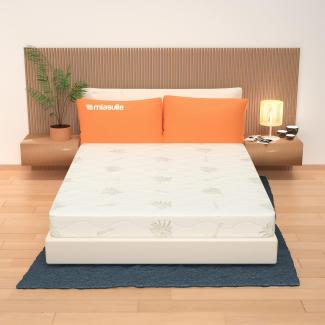 Matratze Abziehbar Memory Foam 160x190 Höhe 25 cm - Bezug Aloe Vera | Premium