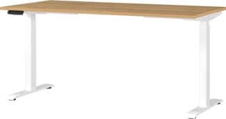 Germania Schreibtisch 7908-552, in Grandson-Eiche-Nb./Weiß, EL. höhenverstellb, 160 x 120 x 80 cm (BxHxT)