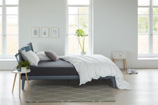 Beddinhouse Jersey, Baumwolle Spannbettlaken Jersey Td Anthracite 120X200/210/220 120x200 cm Pocket depth: 25 1 Topper-Spannbettlaken Anthrazit