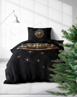 MTOnlinehandel Bettwäsche Harry Potter Hogwarts 135x200 + 80x80 cm, Winter Plüsch Teddy, Coral Fleece, 2 teilig, kuscheliger als Biber oder Flanell