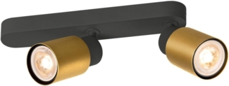 SLV PURI 2.0 Tube, Wand- und Deckenaufbauleuchte, asymmetrisch, 2 x max. 6W GU10, schwarz / gold - Wand- und Deckenleuchten