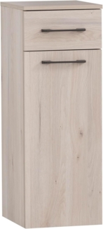 Schildmeyer Highboard Maxim 154796, sandeiche, 32,7 x 35,3 x 88,4 cm