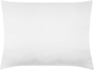 ZOLLNER Kopfkissen, Füllung: 100% Polyester, Seitenschläfer, Rückenschläfer, Bauchschläfer, 50 x 80 cm, 100% Polyester, vom Hotelwäschespezialisten