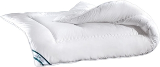 f.a.n. Frankenstolz Texas Microfaser-Steppbett Vierjahreszeiten-Steppbett 155x220