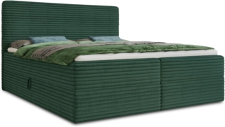 Boxspringbett Mollo mit 2 Bettkästen, Doppelbett mit Bonell-Matratze und Topper, Polsterbett in weichem Cordstoff, Bett, Bettgestell für Schlafzimmer (Grün (Tilia 39), 160 x 200 cm)