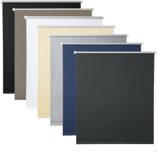 WOLTU Verdunklungsrollo ohne Bohren Anthrazit 110x210 cm (BxH), Thermorollo Klemmfix Fensterrollo Seitenzugrollo easyfix Verdunkelung Rollos Sichtschutz und Sonnenchutz, Klemmrollo für Fenster & Tür
