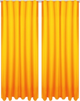 Bestlivings Vorhang, Kräuselband (2 St), blickdicht, Microfaser, Gardinenset "Blickdicht" mit Kräuselband