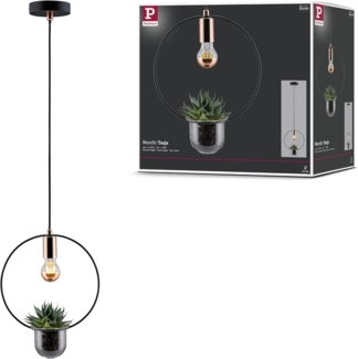 Paulmann No. 79748 Pendelleuchte Tasja 1-flammig Pflanzenleuchte schwarz kupfer