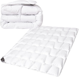 SEI Design Microfaserbettdecke SWAN Winter Bettdecke 155x220 cm Mikrofaser Decke Kuscheldecke, Füllung: 100% Mikrofaser, Bezug: 100% Mikrofaser, ein Gefühl wie Daunen