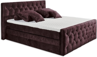 ED Lifestyle Cashfield 8 Boxspringbett Holzwerkstoff/Tonnentaschenfederkern H2 180x200 cm Aubergine