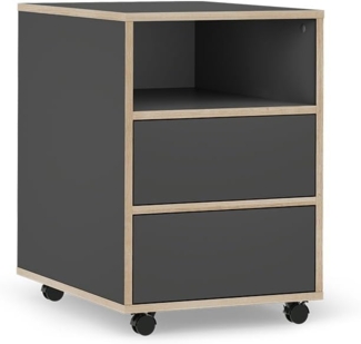 Vicco Rollcontainer Anthrazit 42x55 cm mit Regalen und 2 Schubladen, Tetrix