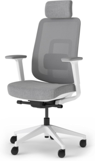 Ergotopia 'PureBack' ergonomischer Bürostuhl mit Lordosenstütze & 4D-Armlehne, Grau, mit Kopfstütze