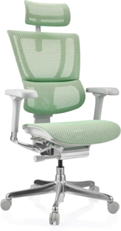 hjh OFFICE Bürostuhl ERGOHUMAN Slim I G Netz ergonomischer Bürosessel mit Flexibler Lordosenstütze, Grün, 652296