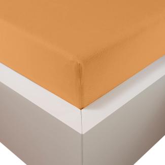 Traumschloss Premium Plus Edel-Jersey Spannbettlaken mandarine 140-160x200-220