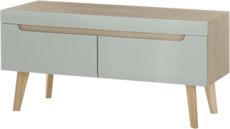 TV-Lowboard Isgard in Pistazie und Eiche 107 cm