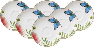 Villeroy & Boch Amazonia Anmut Kaffee- / Teeuntertasse ø 15 cm 6er Set - DS