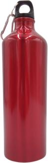 Aluminium Trinkflasche 1000ml farbig mit Karabiner Wasserflasche Sportflasche