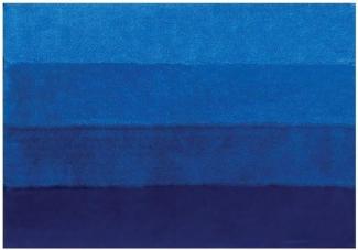 Spirella Badteppich Badematte Badvorleger Duschvorleger Mikrofaser Hochflor flauschig 60x90 cm – Blau