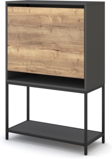 ASSMANN Sekretär Cubas Premium Schwarz 80x36x121cm Metall Holz