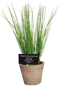 Esschert Design Kunststoffpflanze Schnittlauch im Topf, Größe L, ca. 11 x 11 x 19 cm