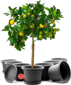 BigDean 8 Stück Blumentopf mit Untersetzer rund ø 35 cm Anthrazit – wetterfester Pflanzkübel Made in Europe