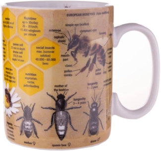 Könitz Wissensbecher Bees Becher, Kaffeebecher, Teetasse, Tasse, Porzellan, 360 ml, 11 1 330 2446
