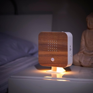 Northpoint LED Dekolicht Naturgeräuschebox Vogelzwitscher Bewegungsmelder Licht Aufladbar