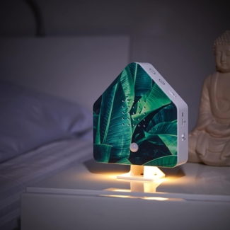 Northpoint LED Dekolicht Naturgeräuschebox Vogelzwitscher Bewegungsmelder Licht Aufladbar