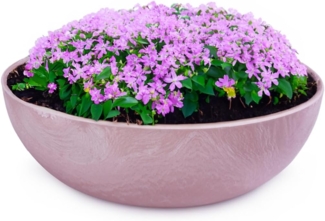 matches21 HOME & HOBBY Blumentopf Pflanzschale für draussen Dekoschale rund alt-rosa marmoriert 20 cm (1 St), Blumen-Schale als wetterfeste Friedhof-Schale Grab-Schmuck Grabschale