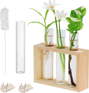 Belle Vous Dekohänger Hängende Glasvasen für Blumen - Set mit 4 Reagenzgläsern (1 St)