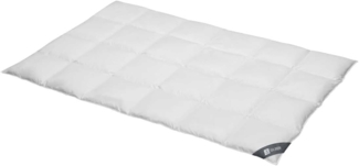 Spessarttraum Daunendecke Silber warm 100% Daunen, Füllung: 100% Daunen|155x220 cm