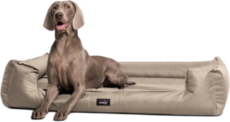 GOOFY Orthopädisches Hundebett - 14 Beige, 160x110cm