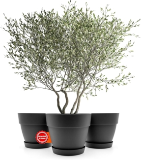 BigDean 3 Stück Blumentopf mit Untersetzer rund ø40 cm in Anthrazit – Übertopf innen + außen geeignet – aus bruchsicherem Kunststoff & Made in Europe