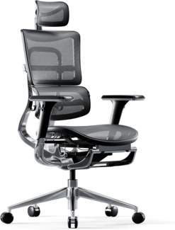 Diablo V-Master Schwarz und Grau