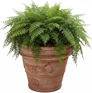 Pflanzgefäß Terrakotta "Doppio Bordo Festonato" 60cm