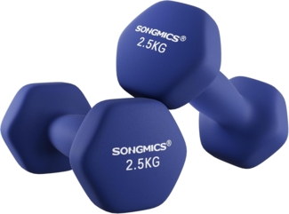 SONGMICS Kurzhantel Kurzhanteln, 2er Set, Krafttraining, zu Hause, Büro