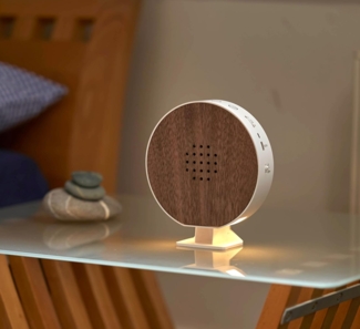 Northpoint Naturgeräuschebox Vogel Gesang Vogelzwitscher Box Echtholz unsichtbarer HF Bewegungssensor Vogelgeräusche Licht Aufladbar mit Wandhalterung Rund Nussholz