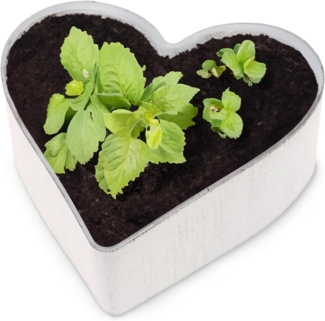 matches21 HOME & HOBBY Blumentopf Herz Pflanzschale Vintage creme-weiß 21x20 cm Grabschmuck (1 St), Outdoor Blumen-Schale als Garten-Deko wetterfeste Grabschale