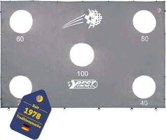 Best Sporting Fußballtor Torwand 280er mit 5 Schußlöchern