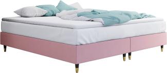 Boxspringbett Sauro Gold für Wandpaneel, Rosa, 160x200 cm