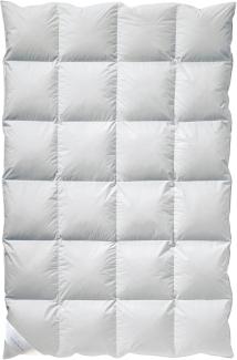 Billerbeck warme Daunendecke S02 Kassette II | Winterdecke 155x220 cm