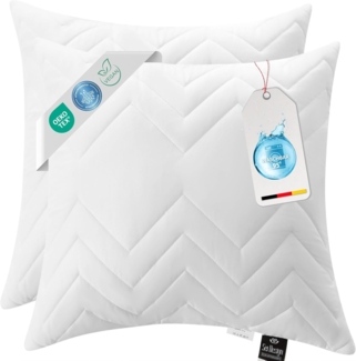 SEI Design Kopfkissen Kopfkissen Kissen Zierkissen Dekokissen Sofakissen, Füllung: 100% Mikrofaser, Bezug: Mikrofaser, Seitenschläfer, Rückenschläfer, Bauchschläfer, 2-er SET, Schlafkissen gesteppt mit Reißverschluss Kochfest 95°
